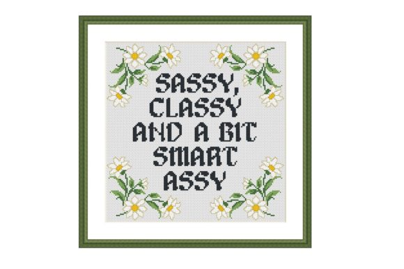 Review of Sassy Funny Quote Cross Stitch Pattern